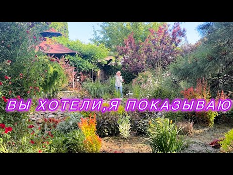 Видео: Обзор сада в середине лета,по вашим просьбам