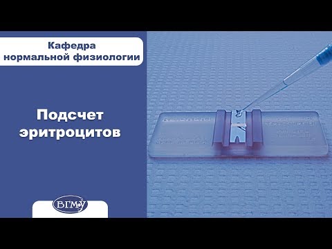 Видео: Подсчет эритроцитов