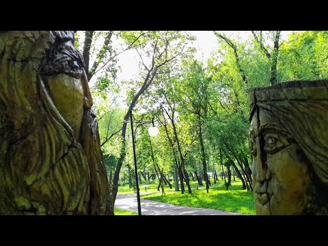 Видео: 28 мая 2025 - Почти лето, почти вечер - Петропавловск - Парк