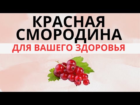 Видео: Польза красной смородины: как она влияет на пищеварение, кровь и сосуды