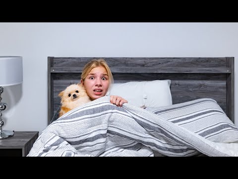 Видео: Живу одна в новой квартире