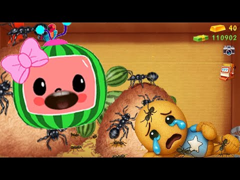 Видео: Кокомелон против Бадди против Скэри Муравейника | Пни Бадди