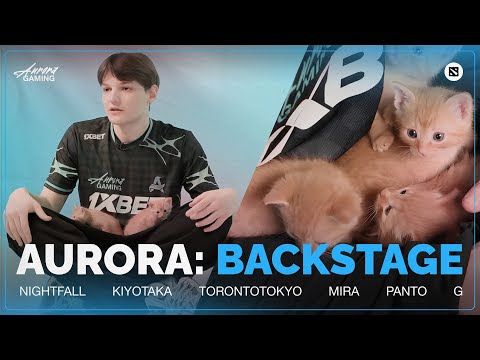 Видео: КОТЯТА И ДОТЕРЫ: ЗА КАДРОМ | AURORA DOTA 2