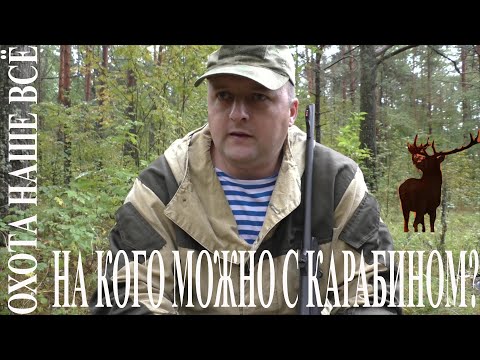 Видео: На кого и когда можно охотиться с нарезным оружием.