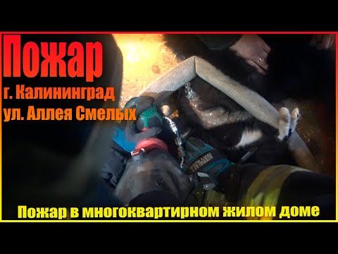 Видео: Пожар в многоквартирном доме на седьмом этаже, спасение и эвакуация взрослых и детей (Fire, rescue)