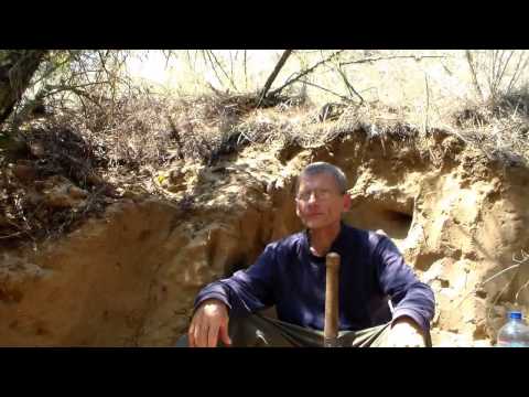 Видео: Выживание.  Лес в пустыне