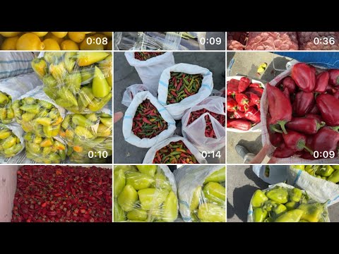 Видео: САМАРҚАНД. ОПТОМ. БОЗОР. УЗУМ  АВАТАР. КЎЧАТ  ОЛМА. ПАМИДОР. КАРТОШКА. САБЗИ. БОДРИНГ.  БИХИ  ЗЎР👍