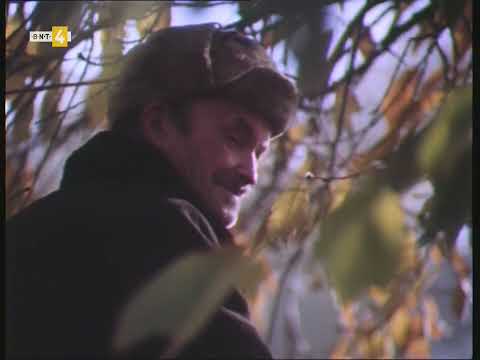 Видео: Черешова градина (1979)