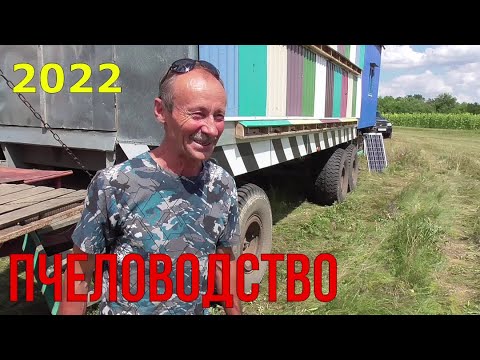 Видео: Откачка Липы / Переезд на Подсолнух /  Павильончики .