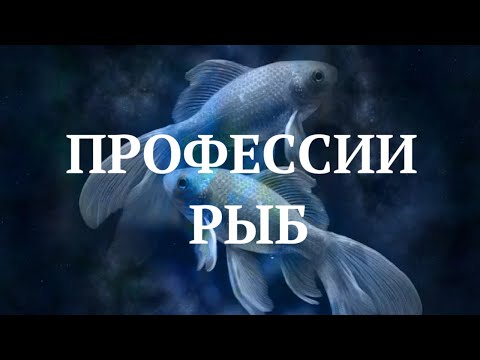 Видео: ЗНАК ЗОДИАКА РЫБЫ. КАРЬЕРА, РАБОТА, ДЕНЬГИ. (КАК ДОБИТЬСЯ УСПЕХА?) ПРОФЕССИИ РЫБ.