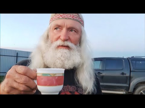 Видео: Натуральное средство ОТ СТРЕССА! Делаю чай из цветков таволги