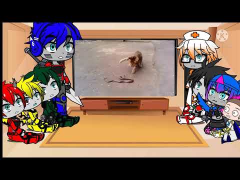 Видео: Реакція автоботів на Скай топ про кішок як вони полюють на інших тварин