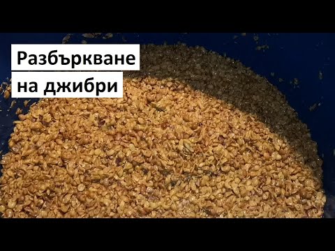 Видео: Разбъркване на джибри