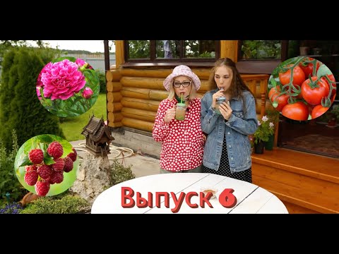 Видео: Ганичкина Life! Выпуск 6! Томаты! Пионы! Амелотекс Гель!