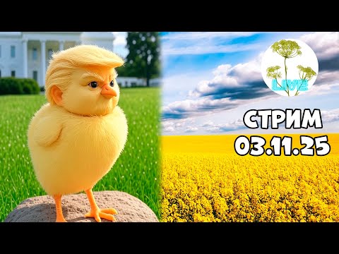 Видео: Экономика США и итоги недели . Стрим 03.11.2025