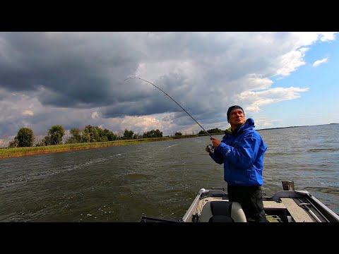 Видео: Вот это трудовая рыбалка! Нашли много щуки в траве! Попали в шторм! Зубатая любит железо!