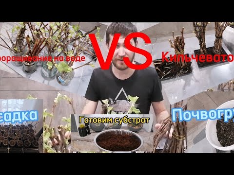 Видео: Кильчеватор против проращивания на воде, приготовление почвогрунта, посадка!