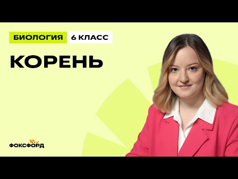 Видео: Корень | Биология 6 класс | Домашняя школа Фоксфорда
