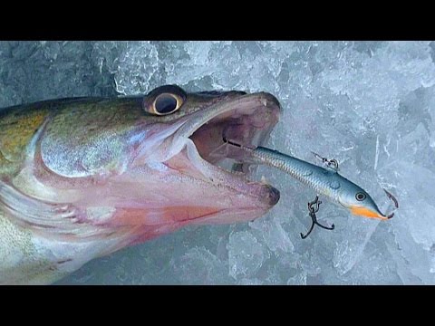 Видео: Rapala vs Lucky John Рапала против Лаки Джон  Productive Baits Лучшие балансиры по судаку