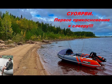 Видео: КАРЕЛИЯ ШОКИРОВАЛА С ПЕРВОЙ СЕКУНДЫ