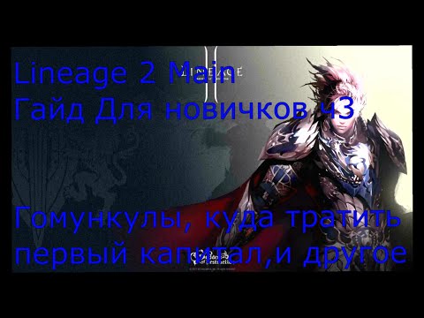 Видео: Lineage 2 Main Гайд для новичков часть 3. Гомункулы, куда тратить первый капитал, экипировка.