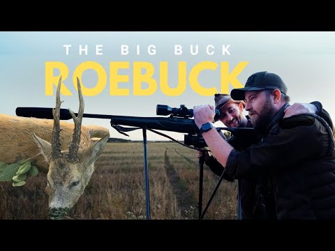 Видео: Большой золотой бак