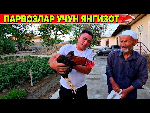 Видео: ПАРВОЗЛАР УЧУН ЯНГИЛИК ЯНГИ ЗОТ КЕЛДИ ОТАМ ЯХШИ КУРГАН ЯПОНЗОТ БУЙИН СИНДИРАР