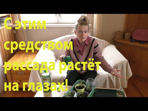 Видео: Рассада быстрее в 1.5 раза!