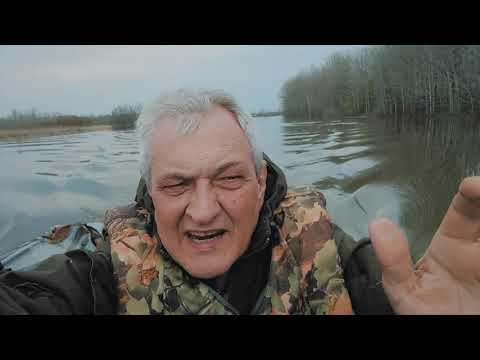Видео: XОЗЯЕВА ТАЙГИ! Лоси, бобры и электромоторы!