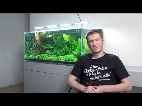 Видео: Травник. Как я избавился от черной бороды