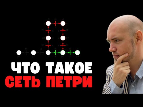 Видео: Что такое сеть Петри. Душкин объяснит