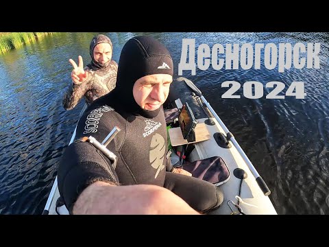 Видео: Десногорск подводная охота открытие сезона 2024