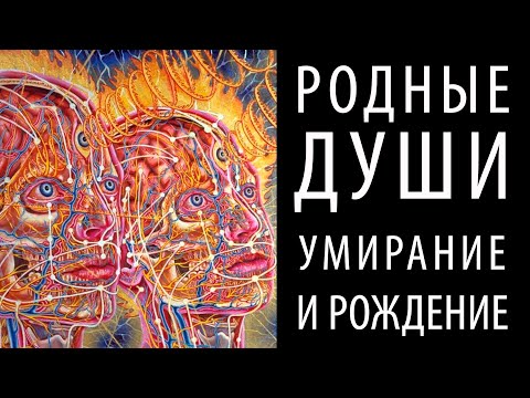 Видео: О том, как встреча с Родной Душой приводит к умиранию старого и рождению новой жизни (Андрей Ханса)