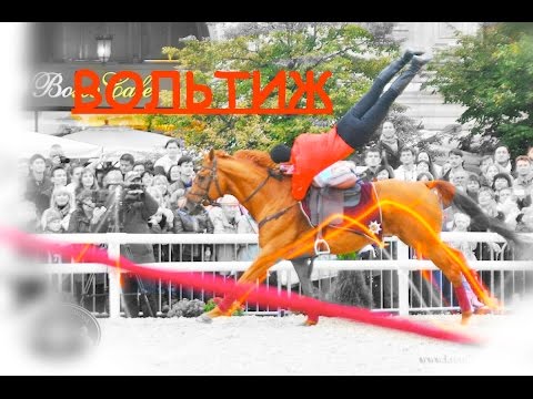 Видео: Джигитовка.Урок 10.Соскок, толчек, сход, отбив, вольтиж... Djigitovka.Lesson 10.Voltizh