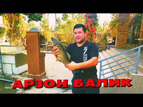 Видео: АКСИЯ БОШЛАНДИ ШОШИЛИНГ АСАКА КОРАТЕПА 