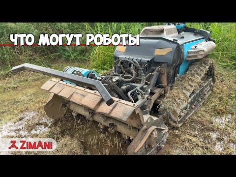 Видео: Эти роботы заменят людей!