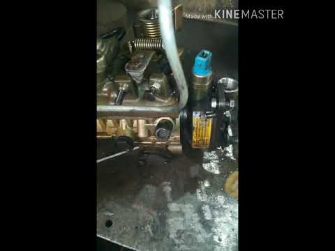 Видео: Светочка топливный насос делфи перкинс