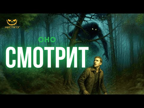 Видео: Необъяснимые паранормальные явления – это реально?