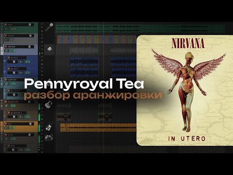 Видео: Разбор аранжировки Nirvana - Pennyroyal Tea