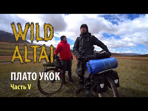 Видео: Алтай. Велопутешествие на Плато Укок. Часть 5
