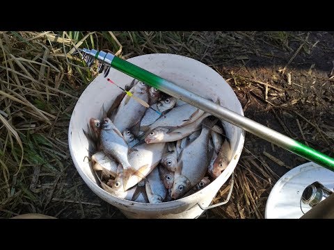 Видео: Летняя мормышка. Очень уловистый способ!🎣