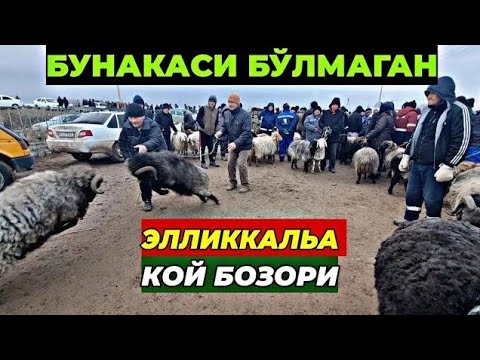 Видео: 17 октября 2024 г. ЭЛЛИККАЛЬА БУСТОН КУЙ БОЗОР НАРХЛАРИ