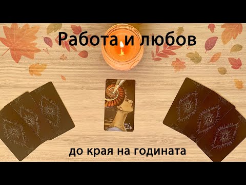 Видео: Работа 📆 и любов 👩‍❤️‍👨 до края на годината 🥳…четене на таро карти #таро #карти #рийдинг
