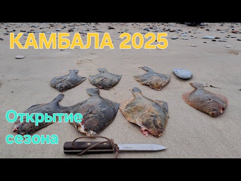 Видео: Ловим камбалу. Хороший размер. Город ЛИЕПАЯ.
