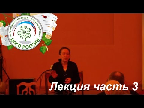 Видео: Выращиваем клубнику (землянику садовую крупноплодную) Обширная лекция Часть 3