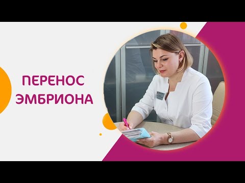 Видео: Что важно знать перед переносом эмбриона?