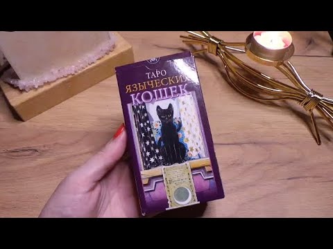 Видео: Таро Языческих Кошек  (Часть 1)