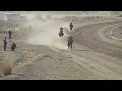 Видео: Жорго Салыш 23 02 2022