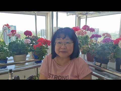 Видео: Комментирую ваши комментарии