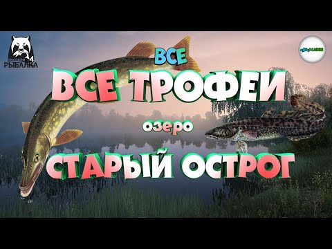 Видео: 🔴РУССКАЯ РЫБАЛКА 4 (RUSSIAN FISHING 4)🔴 - ВСЕ ТРОФЕИ НА ОЗ. СТАРЫЙ ОСТРОГ. ПОЧЁТНЫЙ РЫБОЛОВ.